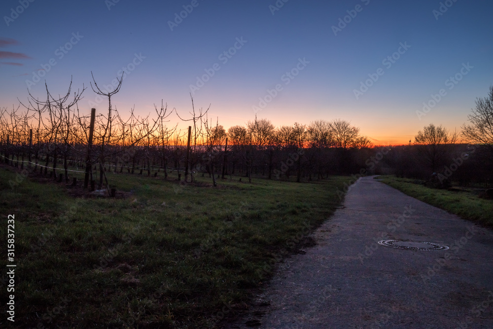 Sonnenaufgang über den Feldern Sonnenaufgang über den Feldern