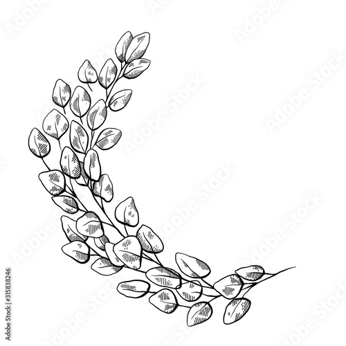 Frame with sketch eucalyptus populus and hatching. Engraving semicircular natural border with branches and foliage. Vector outline template for invitation, greeting cards and your design.