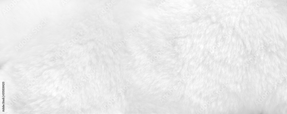 White fur background close up view. Banner - obrazy, fototapety, plakaty 