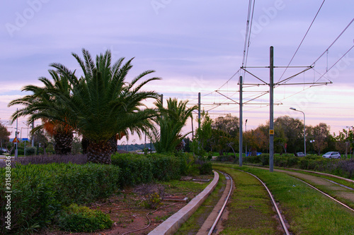 Picturesque landscape view of railroad in Glyfada. Scenic palm trees along the road. Glyfada is a suburb in South Athens located in the Athens Riviera