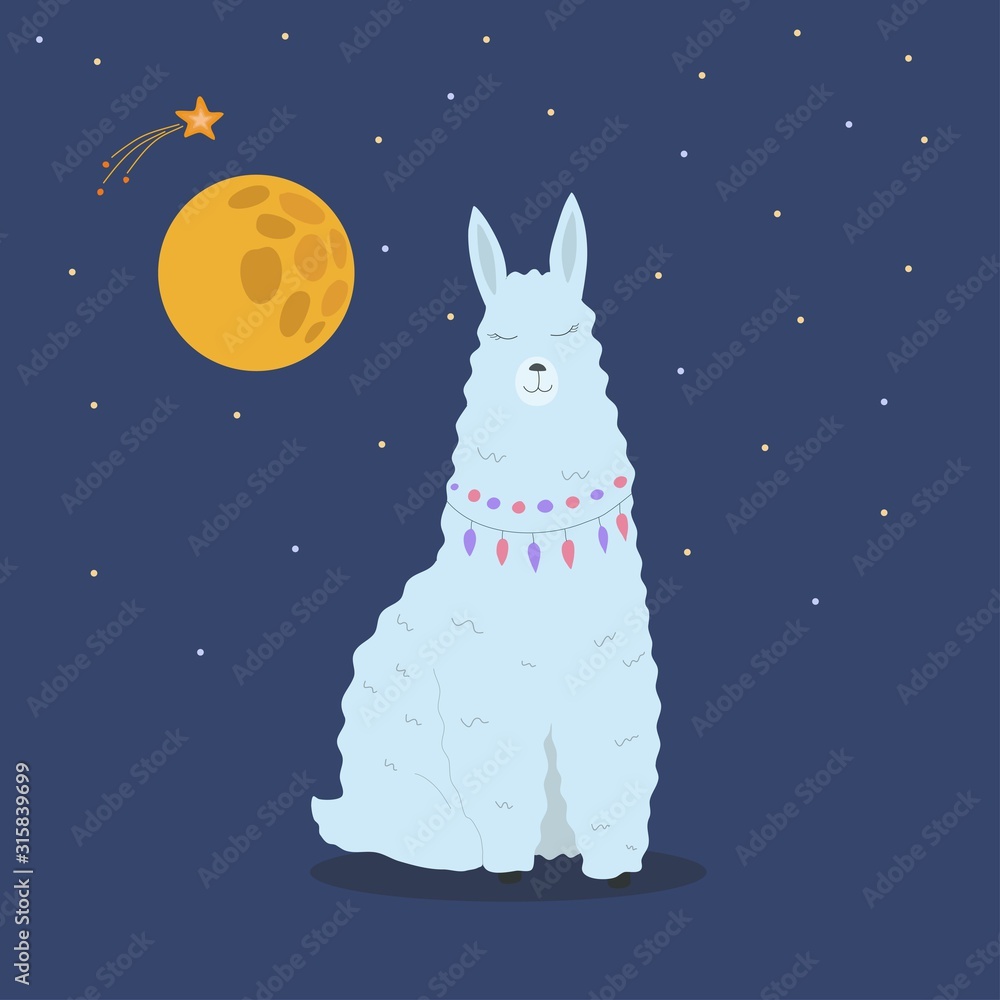 Llama with night sky, vector illustration
