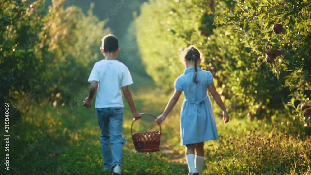 Little girl and her brother carry basket along beautiful nature. Rear view. Copy space. 4K. Little girl and her brother carry basket along beautiful nature. Rear view. Copy space. 4K.