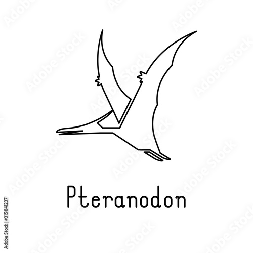 Simple line style icon of Pteranodon.  Vector illustration. 