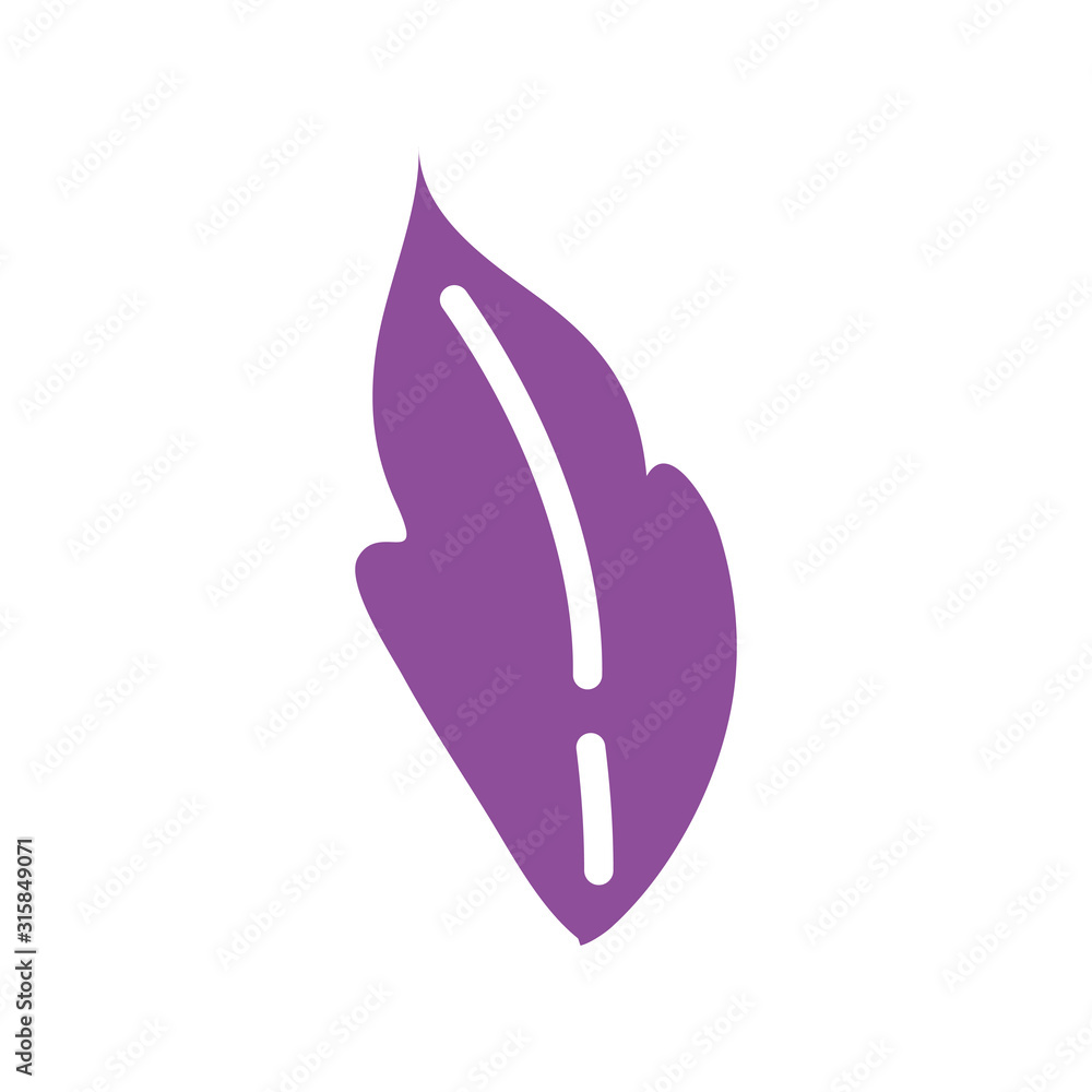 Fototapeta premium feather bird decorative isolated icon