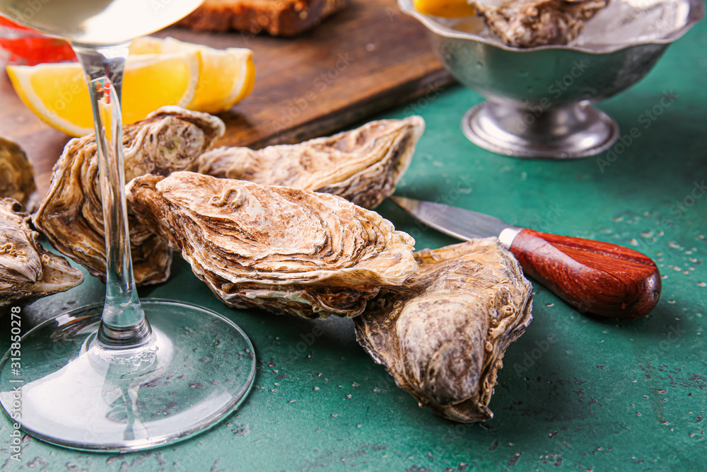Tasty oysters on color background