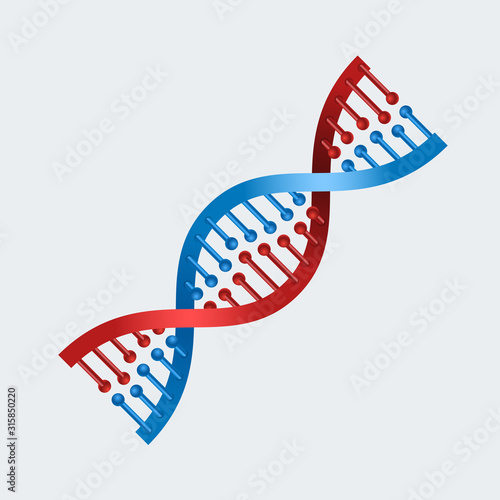 DNA graphic illustration with blue and red color.