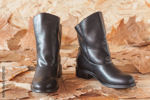 Genuine leather high boots, black color,  on autumn arranged background © Svetlana Gajic