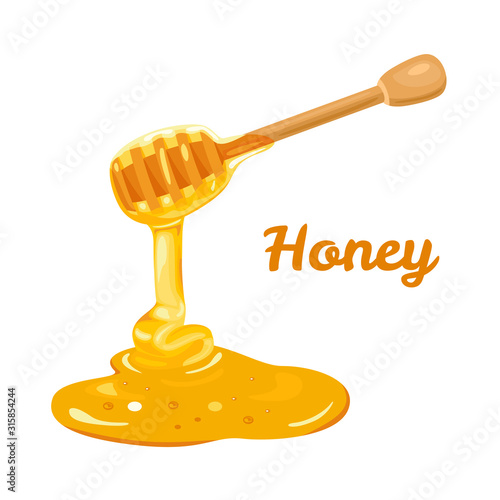 Honey dripping from wooden dipper Isolated on white background. Vector detailed illustration of organic sweets in cartoon flat style.