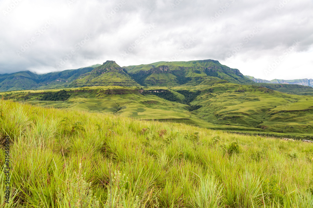 The green mountains of Maloti Drakensberg Park with grasses in the foreground, South Africa