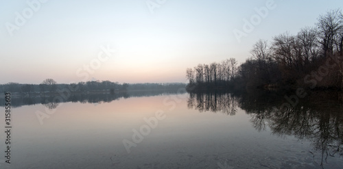 Beautiful winter landscape scene wildlife nature with animals ducks and white swans swimming in lake, mirror reflections with trees, Palatina, Germany in Europe.