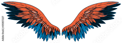 Beautiful black blue orange wing, hand drawn, vector