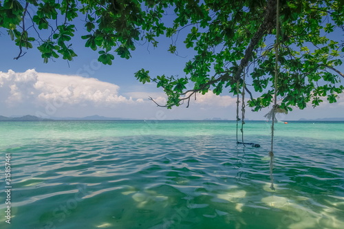 view of swing rope hang on mangrove tree branch around with blue-green sea and blue sky background  Koh Kradan  Trang Province  south of Thailand.