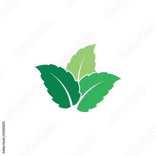 Mint leaves flat vector color icon
