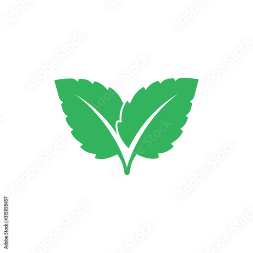 Mint leaves flat vector color icon