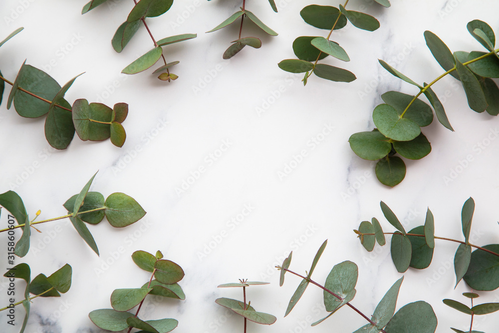 Frame of eucalyptus leaves on a marble background. Lay flat - obrazy, fototapety, plakaty 