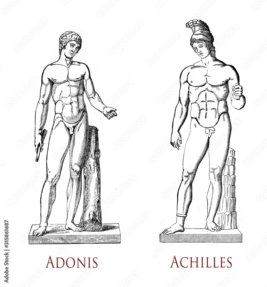 Greek male beauty: musculature and grace of the male form as in the classical statues of Adonis mortal lover of the goddess Aphrodite and Achilles hero of the Trojan War - obrazy, fototapety, plakaty 