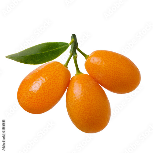Ripe orange kumquat fruit on branch with green leaves isolated on white background
