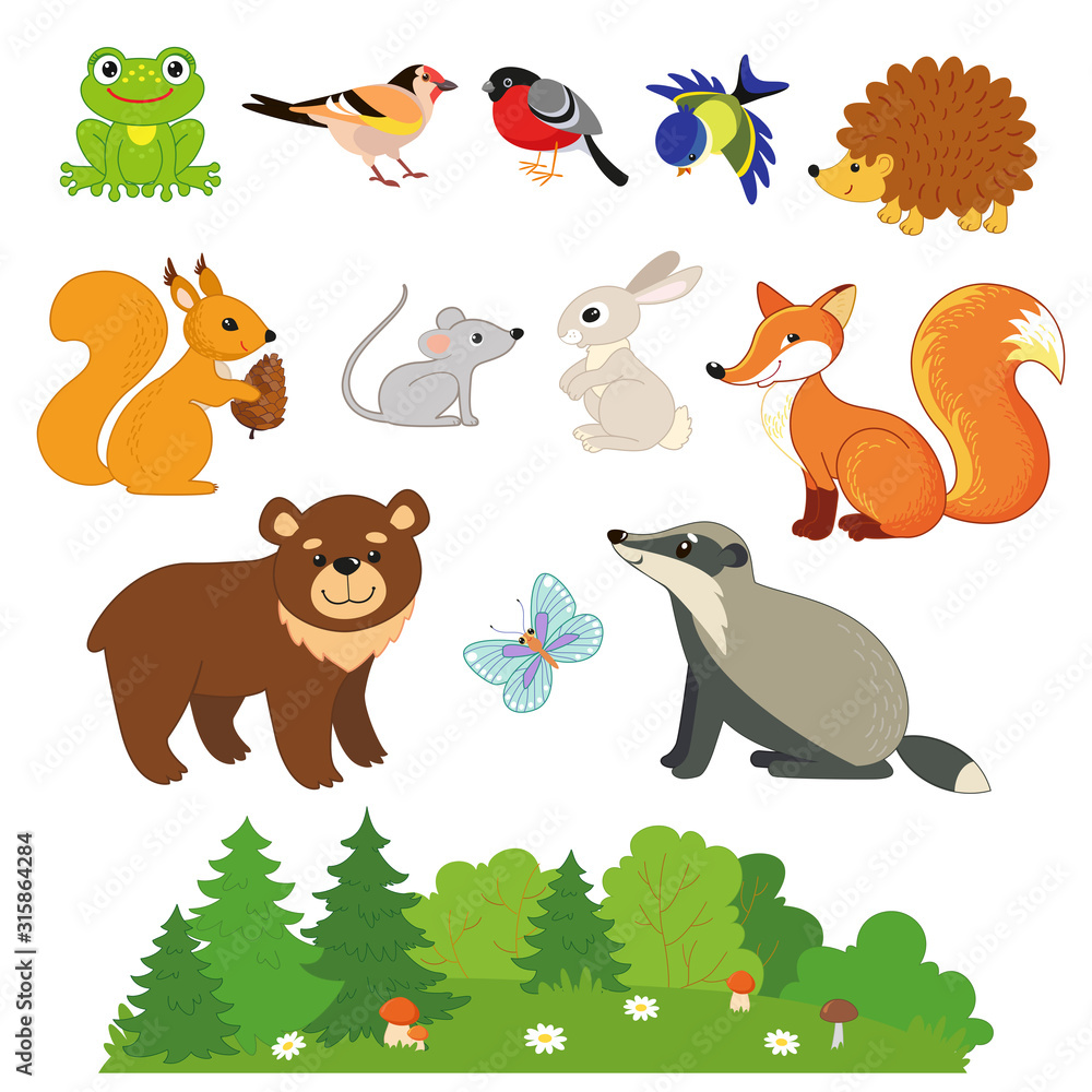 Naklejka premium Set of forest animals. Frog, Jay, bullfinch, tit, hedgehog, squirrel, mouse, hare, Fox, badger, bear, butterfly. Vector illustration for kids.
