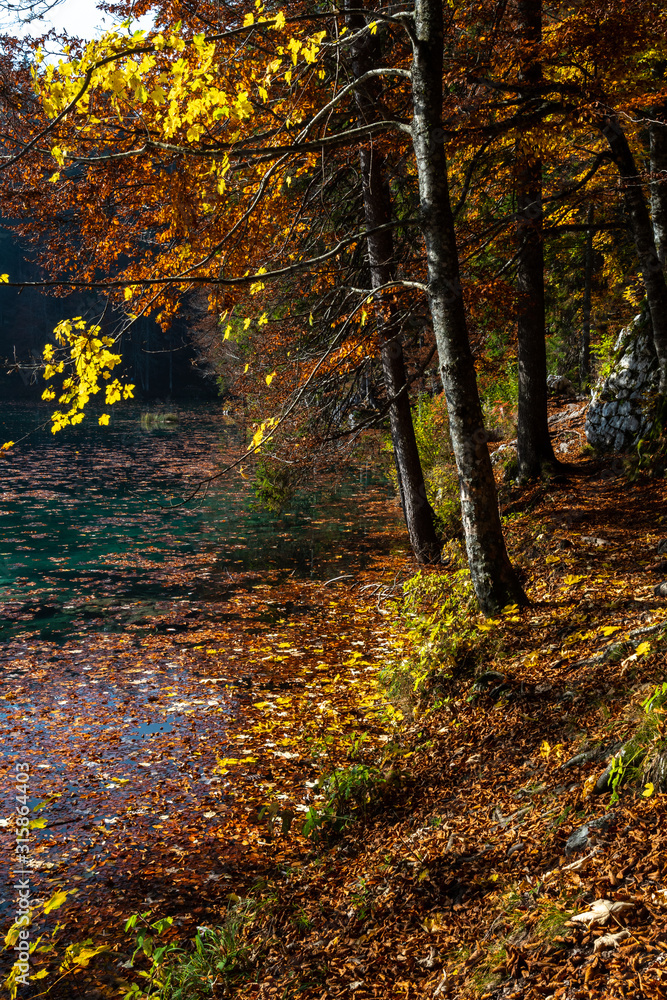 Obraz premium Herbstlandschaft in Italien
