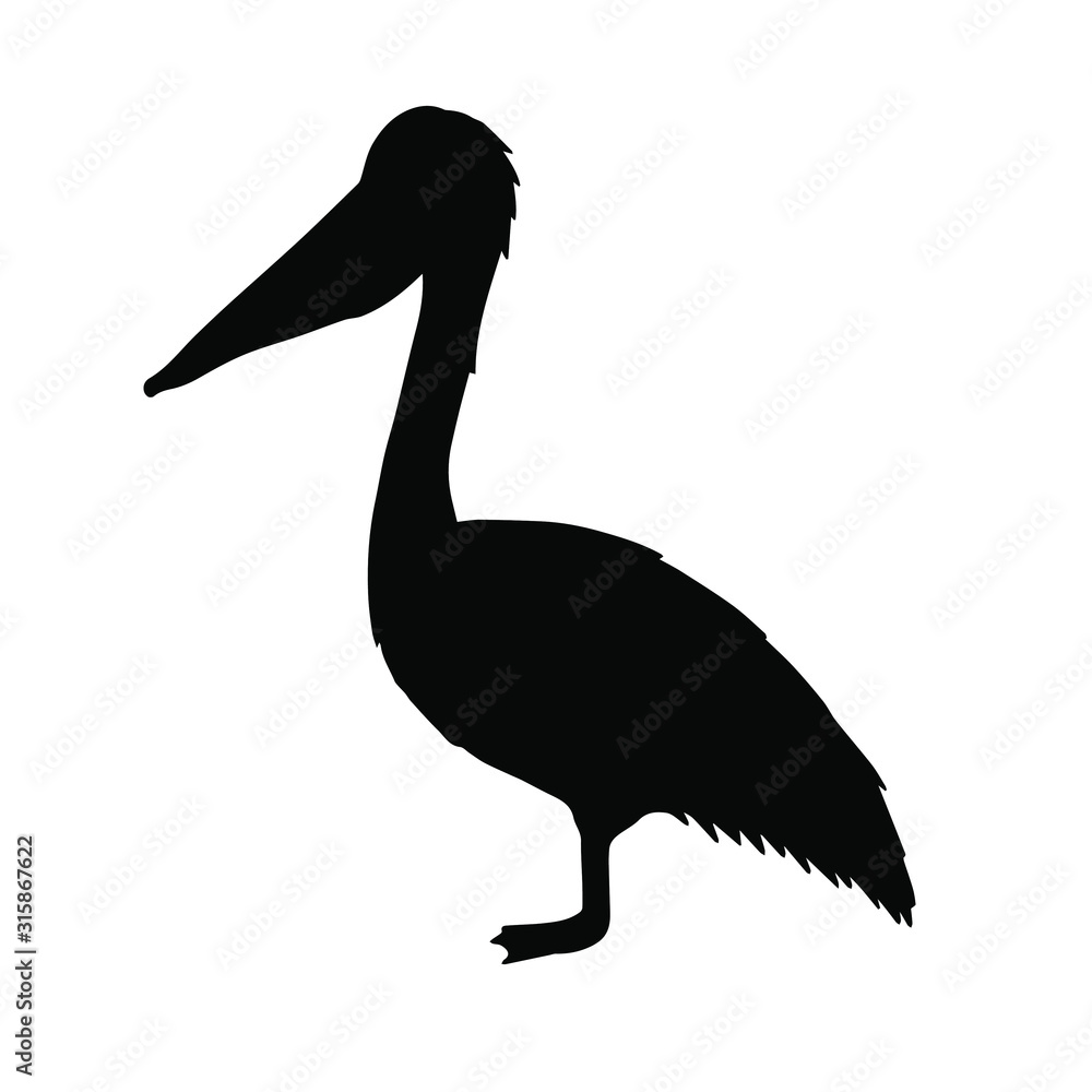 Vector black pelican silhouette isolated on white background