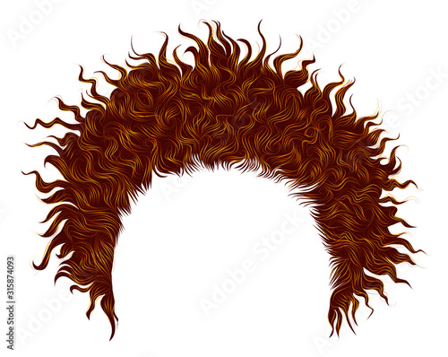 trendy curly disheveled african red hair  .  realistic  3d . fashion beauty style .unisex women  men