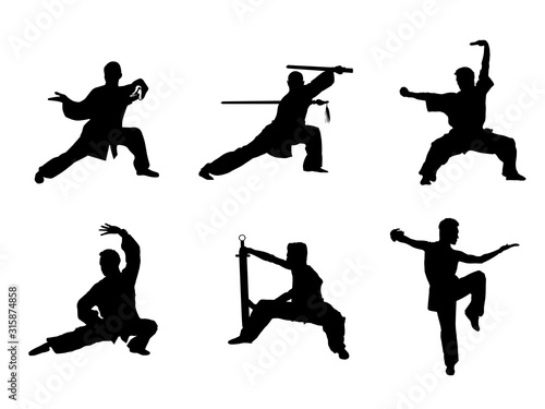 Wushu, kung fu, Taekwondo, Aikido. Silhouette of people isolated on white background. Sports positions. Design elements and icons. Fighting stance. Vector illustration.