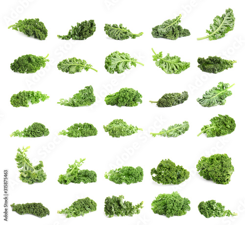 Set of fresh green kale leaves on white background