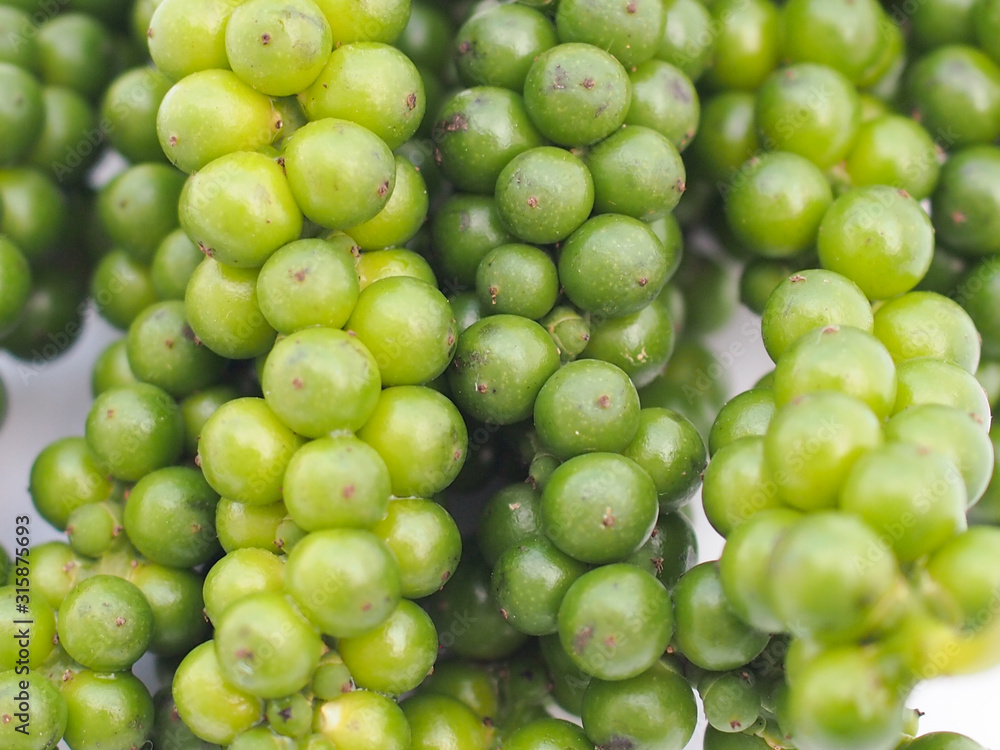 Close-up green fresh pepper seeds background. Close-up green fresh pepper seeds background.