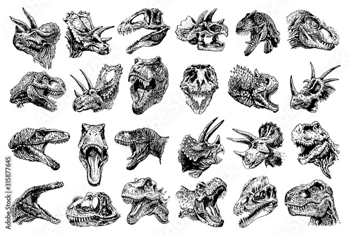 Graphical set of dinosaur portraits isolated on white background, vector illustration,paleontology