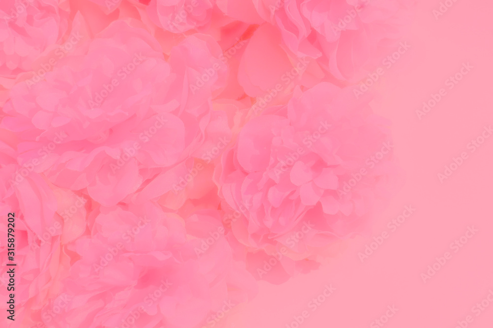 Beautiful abstract color white and pink flowers on white background and white flower frame and orange leaves background texture, flowers banner, pink background, colorful white banner happy valentine Beautiful abstract color white and pink flowers on white background and white flower frame and orange leaves background texture, flowers banner, pink background, colorful white banner happy valentine