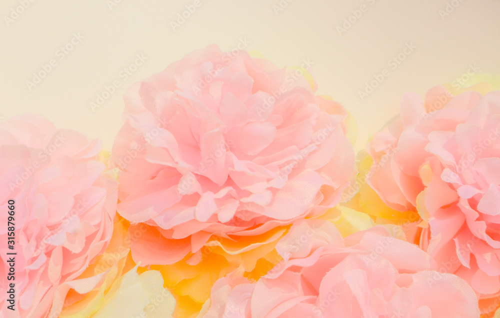 Beautiful abstract color purple and pink flowers on yellow background and white flower frame and pink leaves texture, white background, colorful flowers banner happy valentine