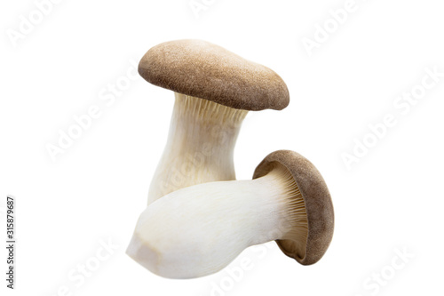 Fresh and raw king oyster mushrooms isolated on white background