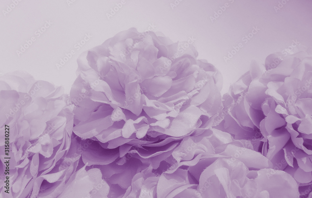 Beautiful abstract color purple and blue flowers on white background and light purple flower frame and purple leaves texture, purple background, colorful white banner happy valentine