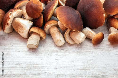 Gourmet fungi boletus edulis on wooden table with copyspace, fresh porcini mushrooms