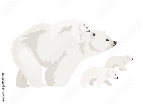 Polar bear family flat color vector illustration. Northern wild adult creature walking cubs. Marine mammal mother with baby. Arctic animal isolated cartoon characters on white background