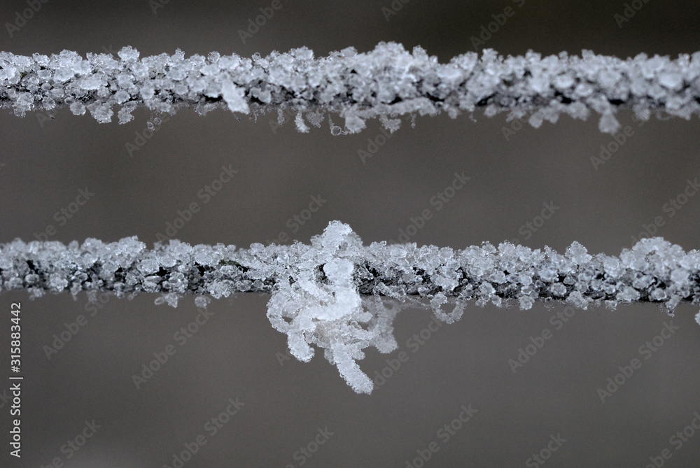 Hoarfrost on the ropes in winter closeup. Shallow depth of field Hoarfrost on the ropes in winter closeup. Shallow depth of field