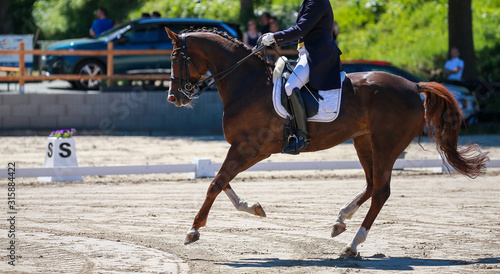 Horse dressage during a "heavy dressage test" during a gallopade in the up phase..