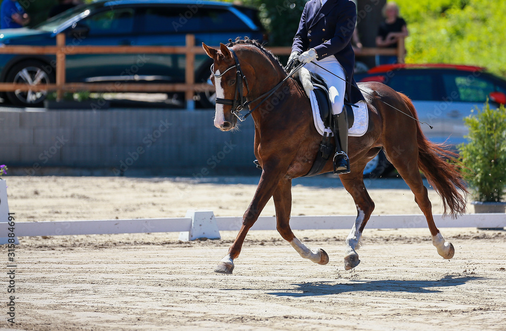 Horse dressage during a Horse dressage during a
