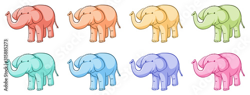 Isolated set of elephant in many colors