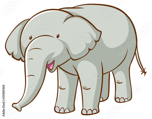 Gray elephant on white background