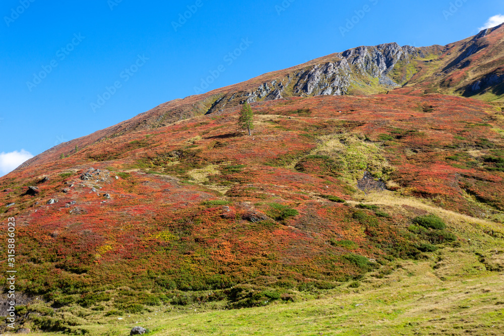 Fototapeta premium The upper course of the Mur (Mura) River in Austrian Alps