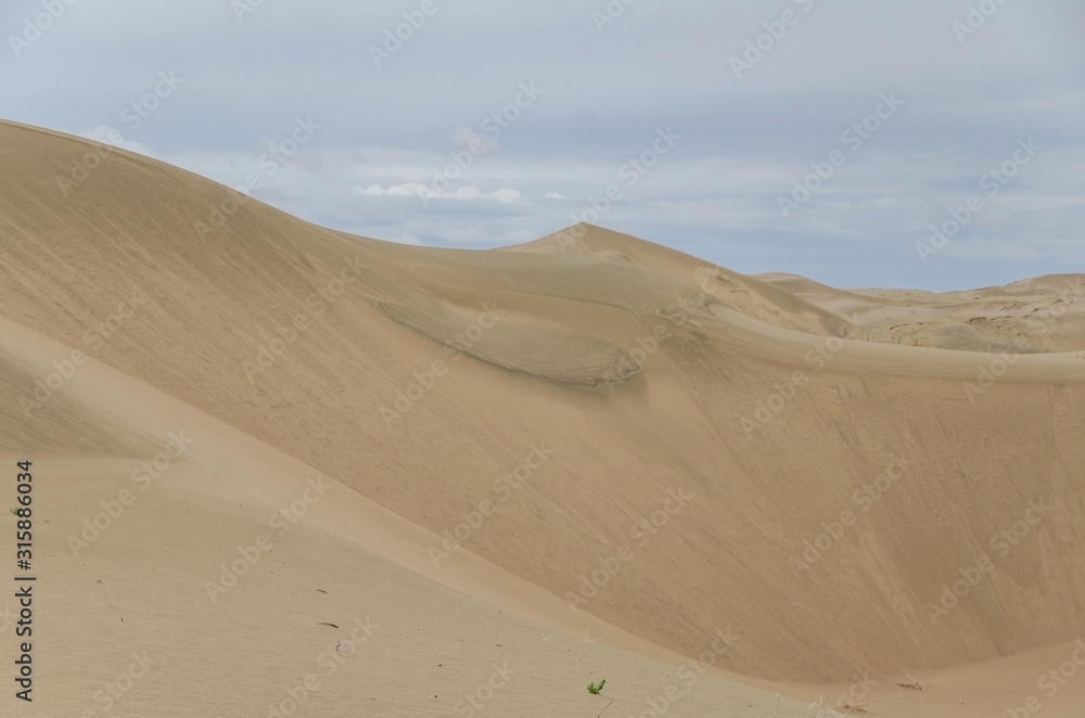 Gobi Desert after rain. Barkhan Mongol-Els sands. Nature and travel. Mongolia, Gobi Desert, Govi-Altai 