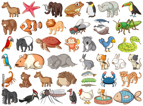 Large set of wildlife with many types of animals land and sea