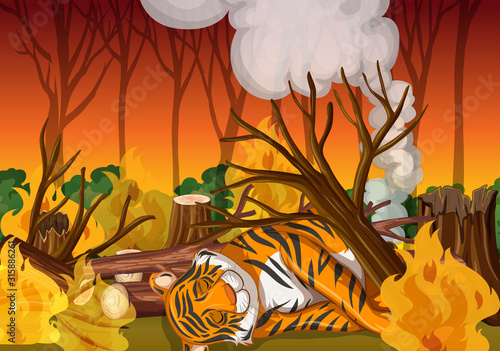 Scene with tiger and wild fire