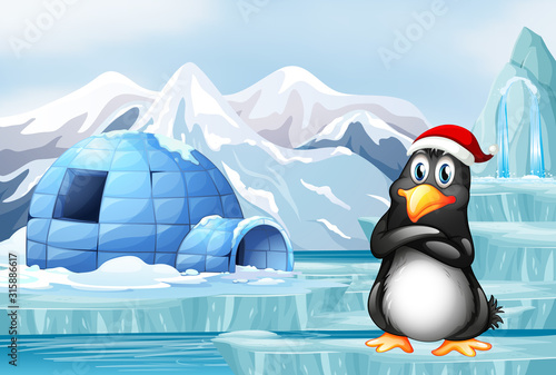 Penguin wearing christmas hat