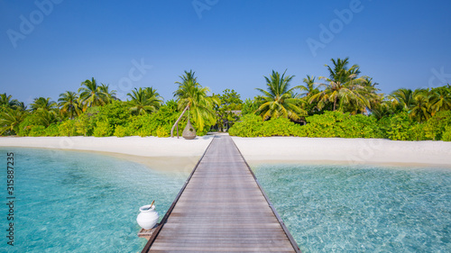 Beautiful tropical Maldives island with beach, sea and coconut palm tree on blue sky for nature holiday vacation background concept. 