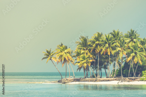 Nature tropic background in vintage style. Exotic landscape of paradise island beach, palm trees over coral reef and peaceful blue sea