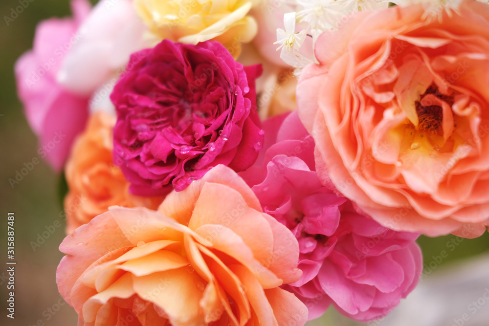 A beautiful bouquet of English roses from David Austin. Vintage Bright garden flowers for a holiday A beautiful bouquet of English roses from David Austin. Vintage Bright garden flowers for a holiday