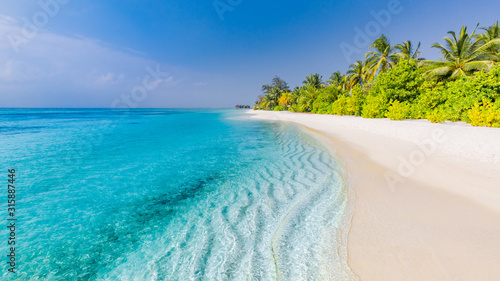 Fototapeta Naklejka Na Ścianę i Meble -  Tropical beach scene, blue sea and palm trees and white sand, summer vacation and holiday background concept