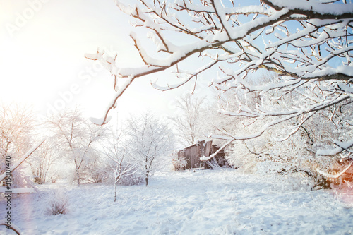 Bright winter landscape. All the trees in the garden are covered in snow.